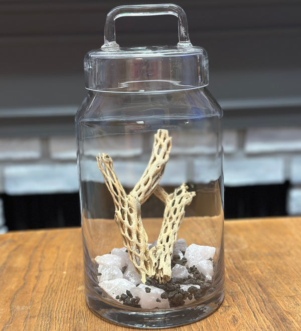 Terrariums