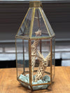 Terrariums