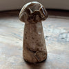 Stromatolite