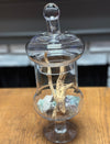 Terrariums