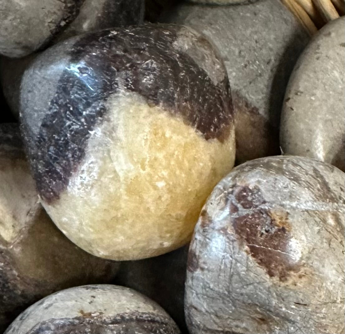 Septarian