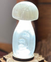 Selenite