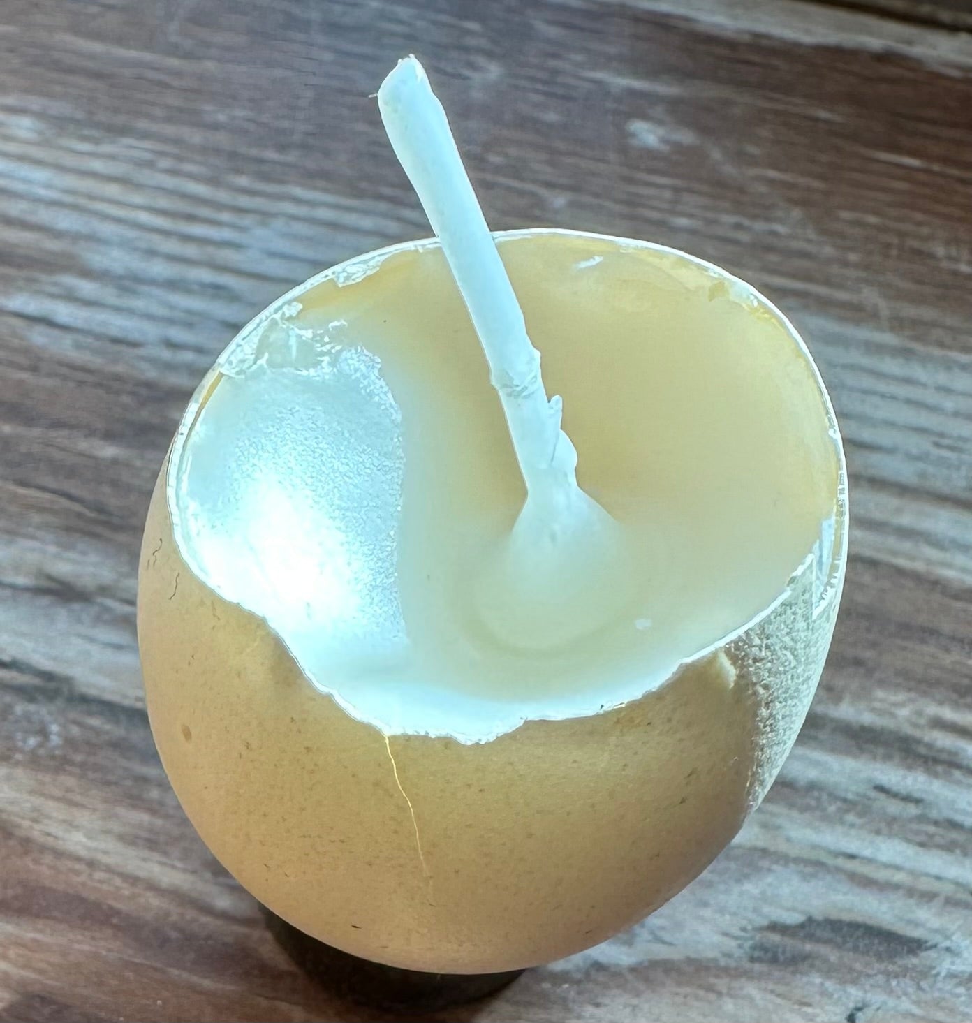 Velas de huevo de codorniz con soporte