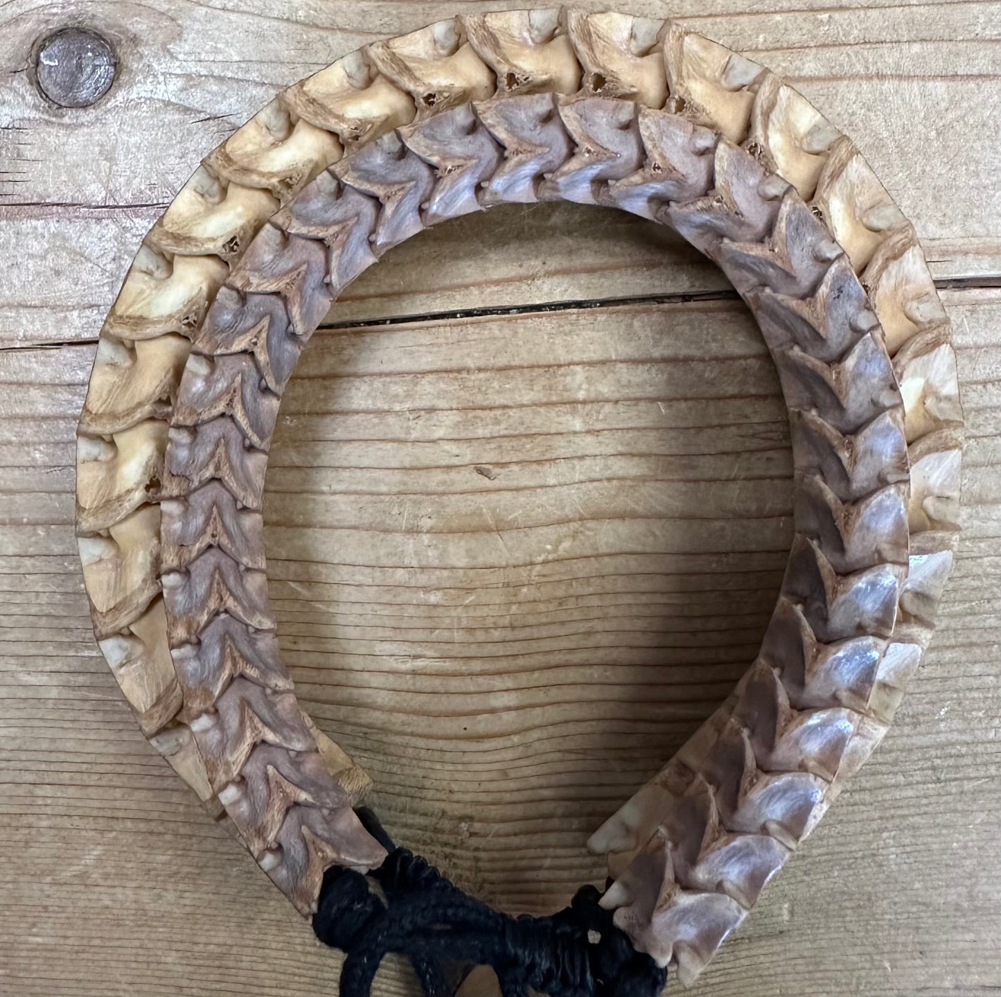 Pulsera unisex con vértebras de cobra