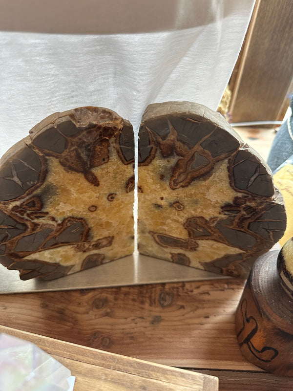 Septarian