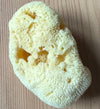 Organic Sea Sponges