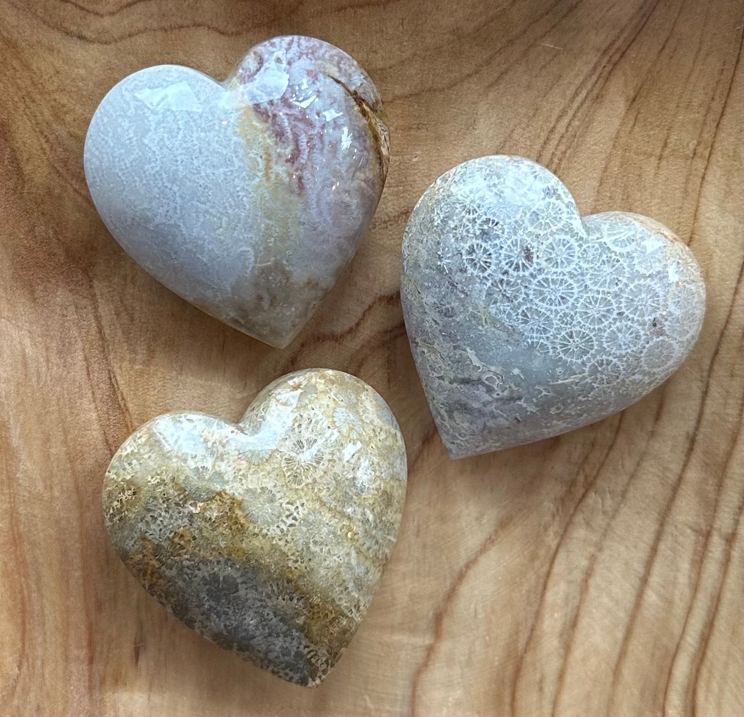 Fossils