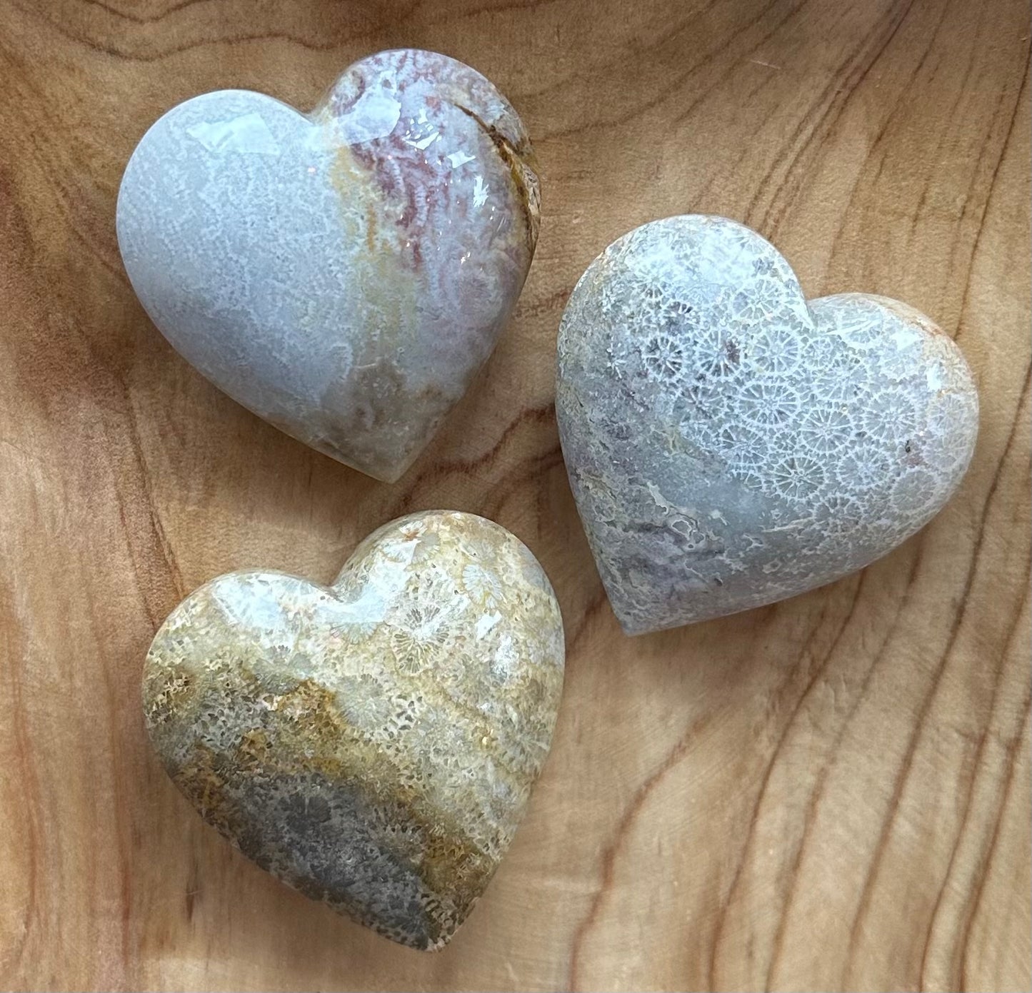 Fossils