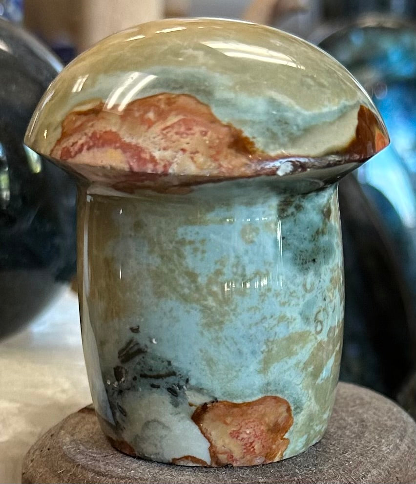 Polychrome Desert Jasper