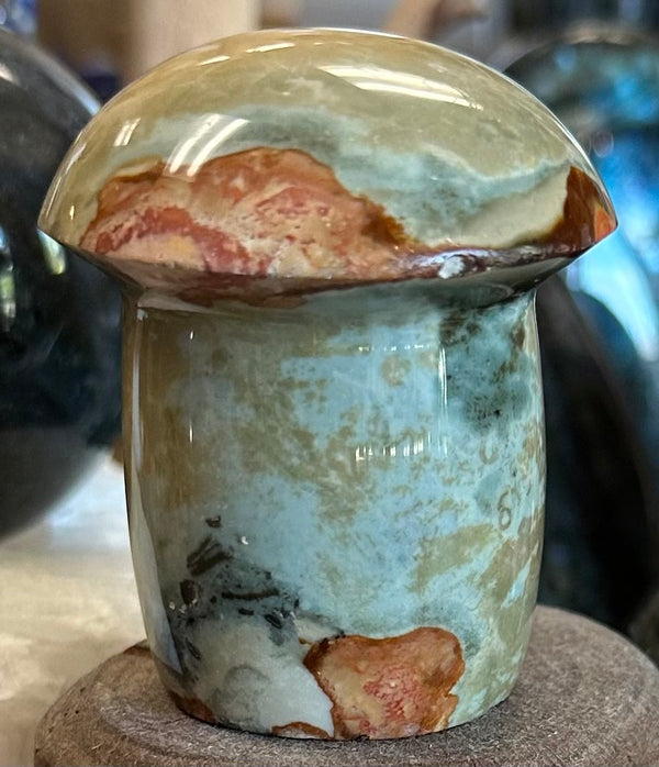 Polychrome Desert Jasper