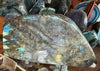 Labradorite