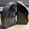 Petrified Wood