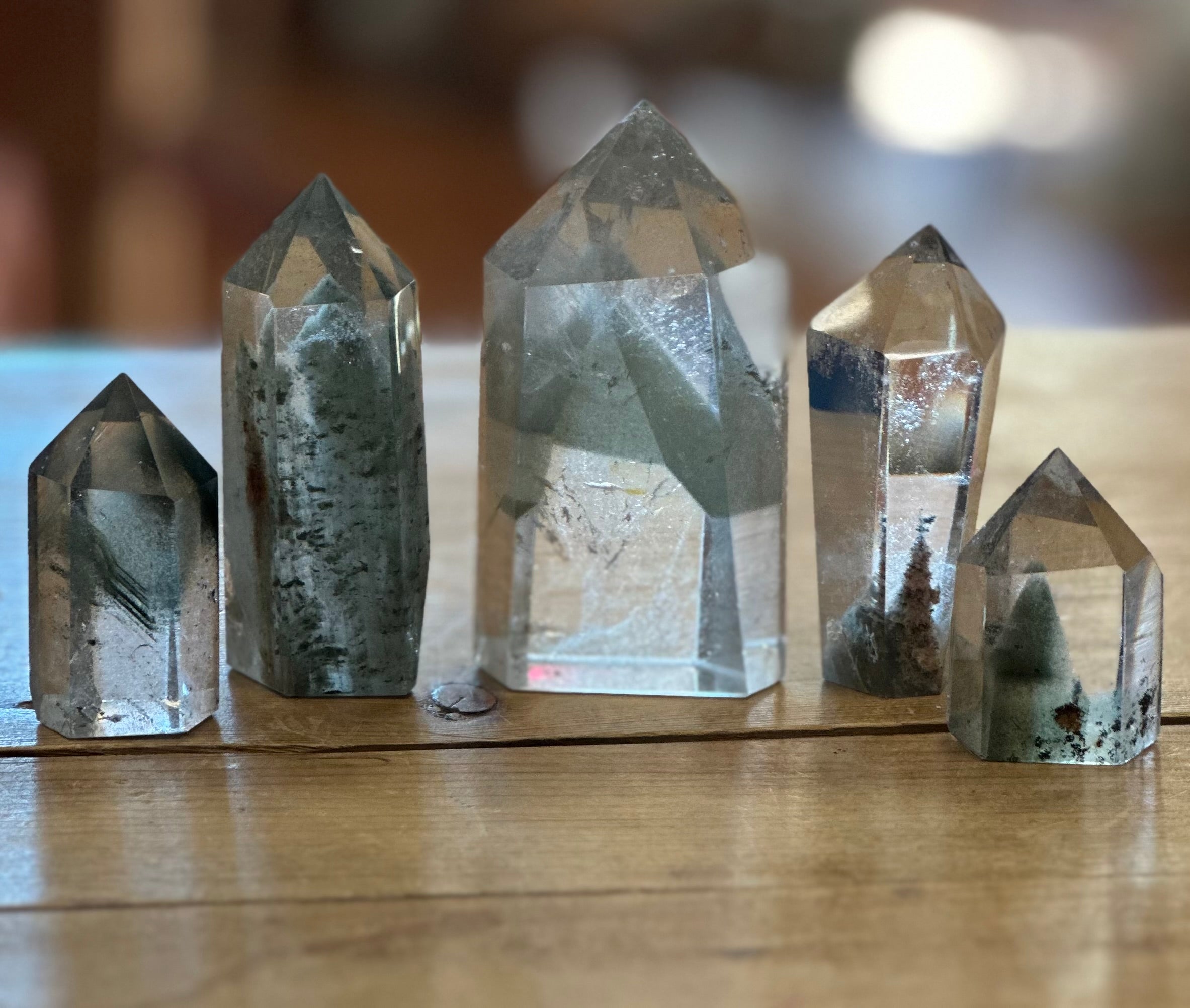 Garden Quartz/Lodolite