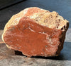 Petrified Wood