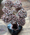 Rhodonite