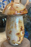 Polychrome Desert Jasper