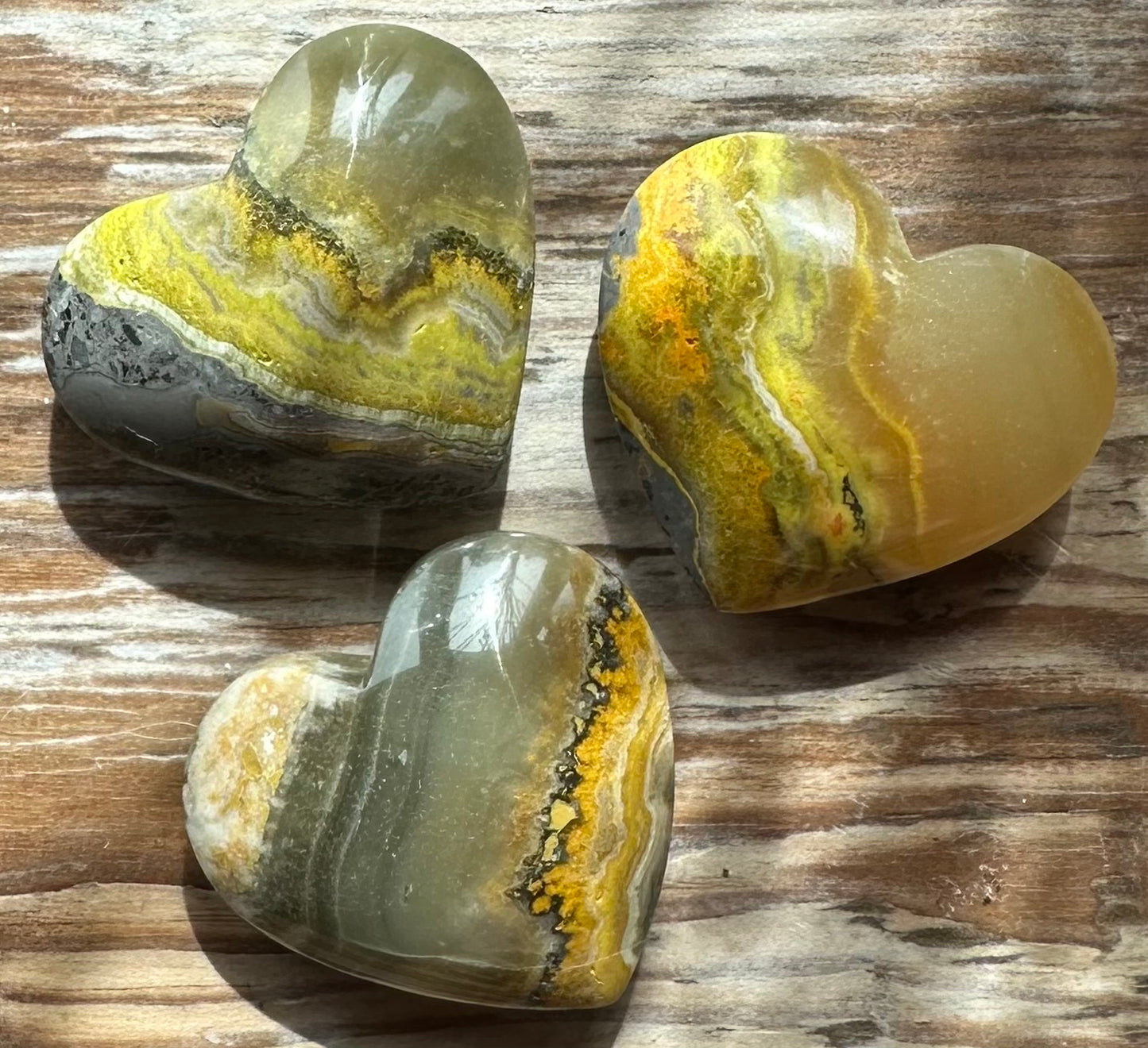 Bumble Bee Jasper