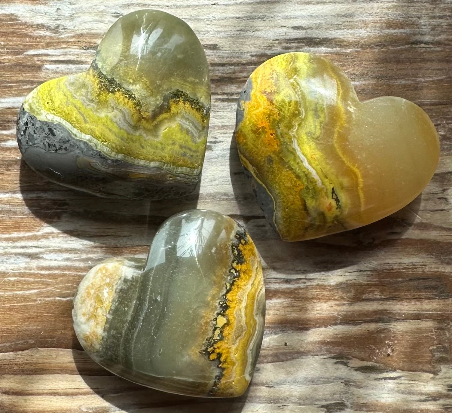 Bumble Bee Jasper