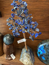 Lapis Lazuili