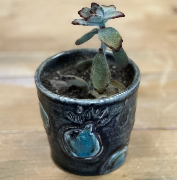 Lottie Damn Dot Pottery