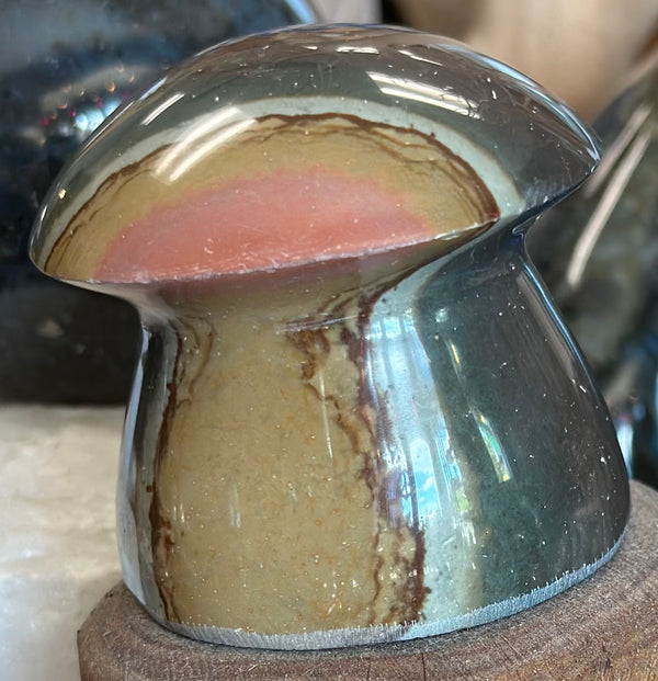 Polychrome Desert Jasper