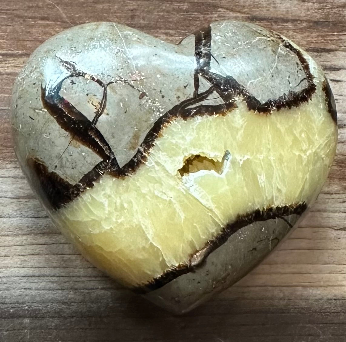 Septarian