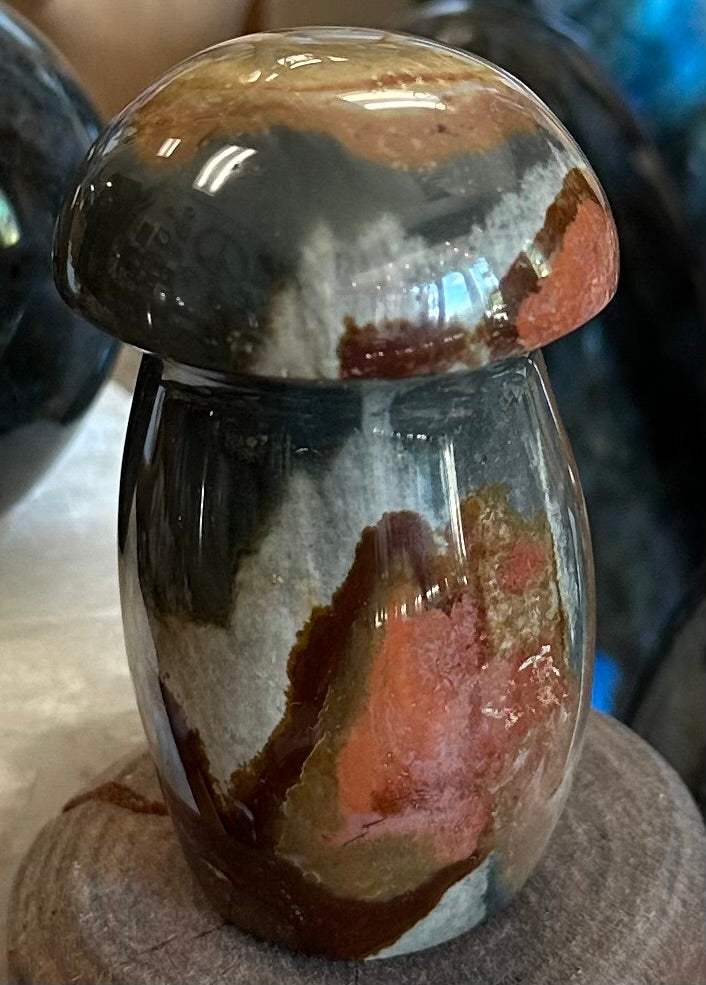 Polychrome Desert Jasper
