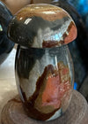 Polychrome Desert Jasper