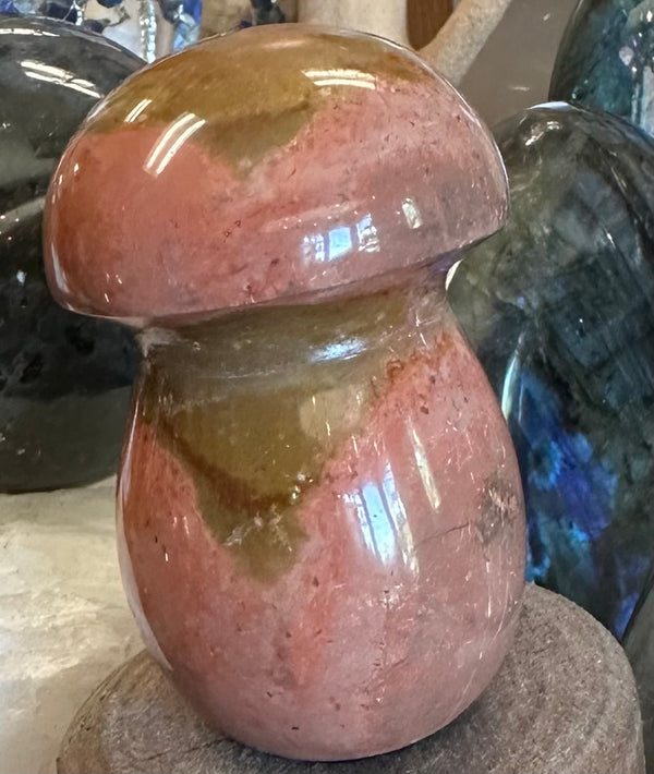 Polychrome Desert Jasper