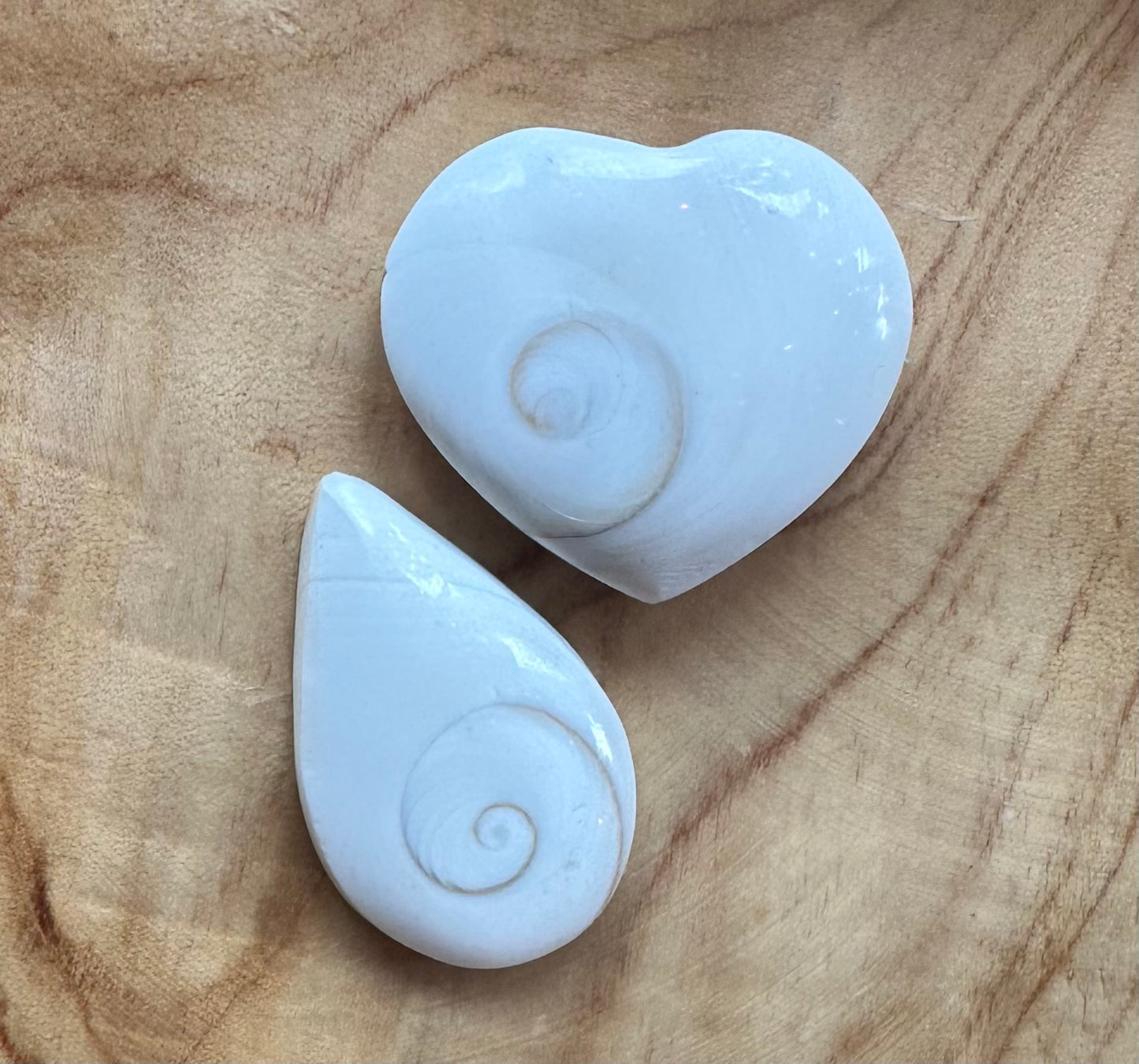 Fossils