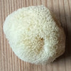 Organic Sea Sponges