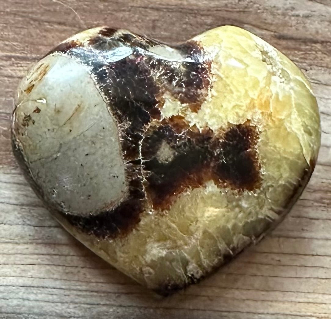 Septarian