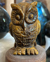 Tiger Eye