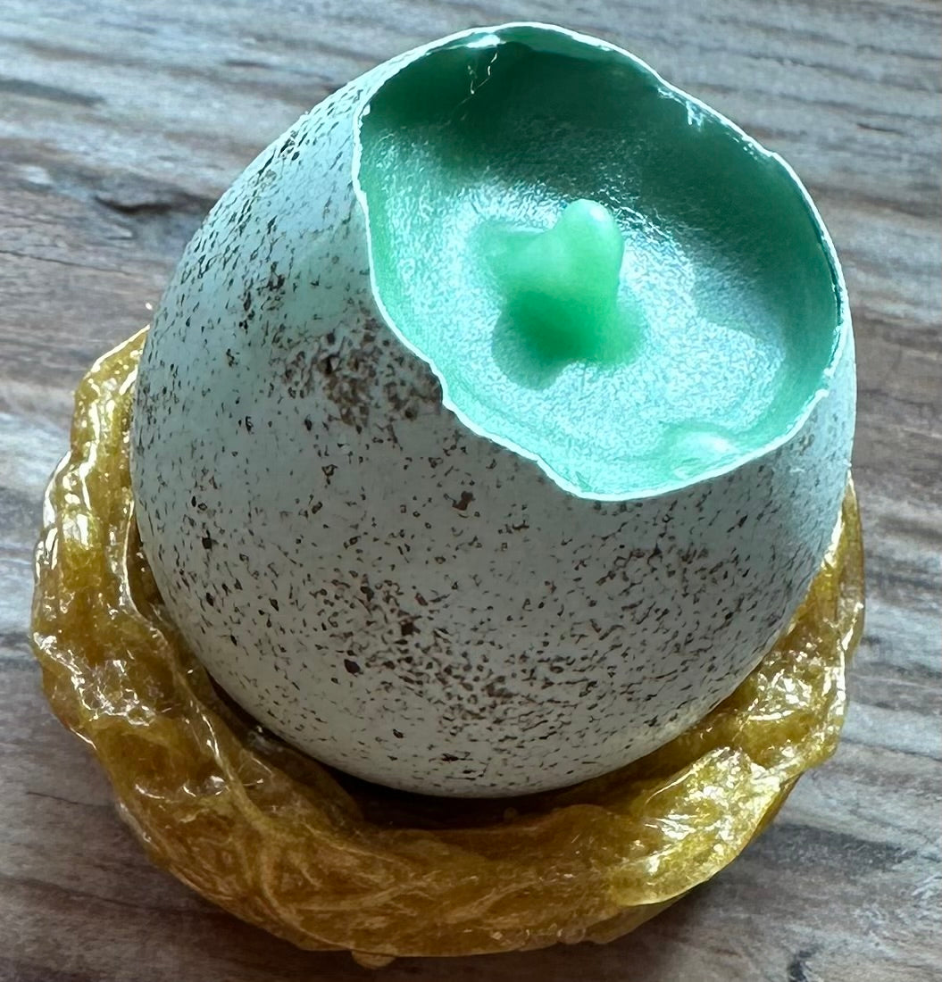 Velas de huevo de codorniz con soporte