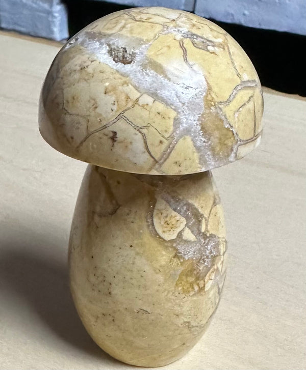 Polychrome Desert Jasper