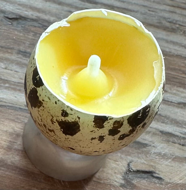 Quirky Quail