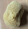 Organic Sea Sponges