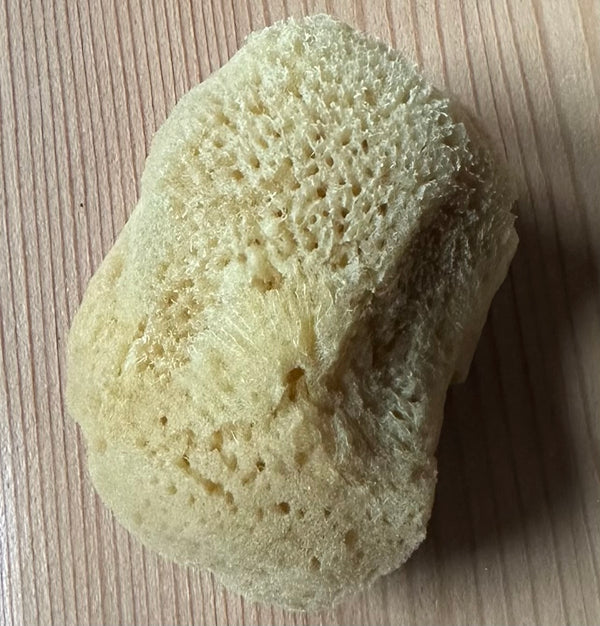 Organic Sea Sponges