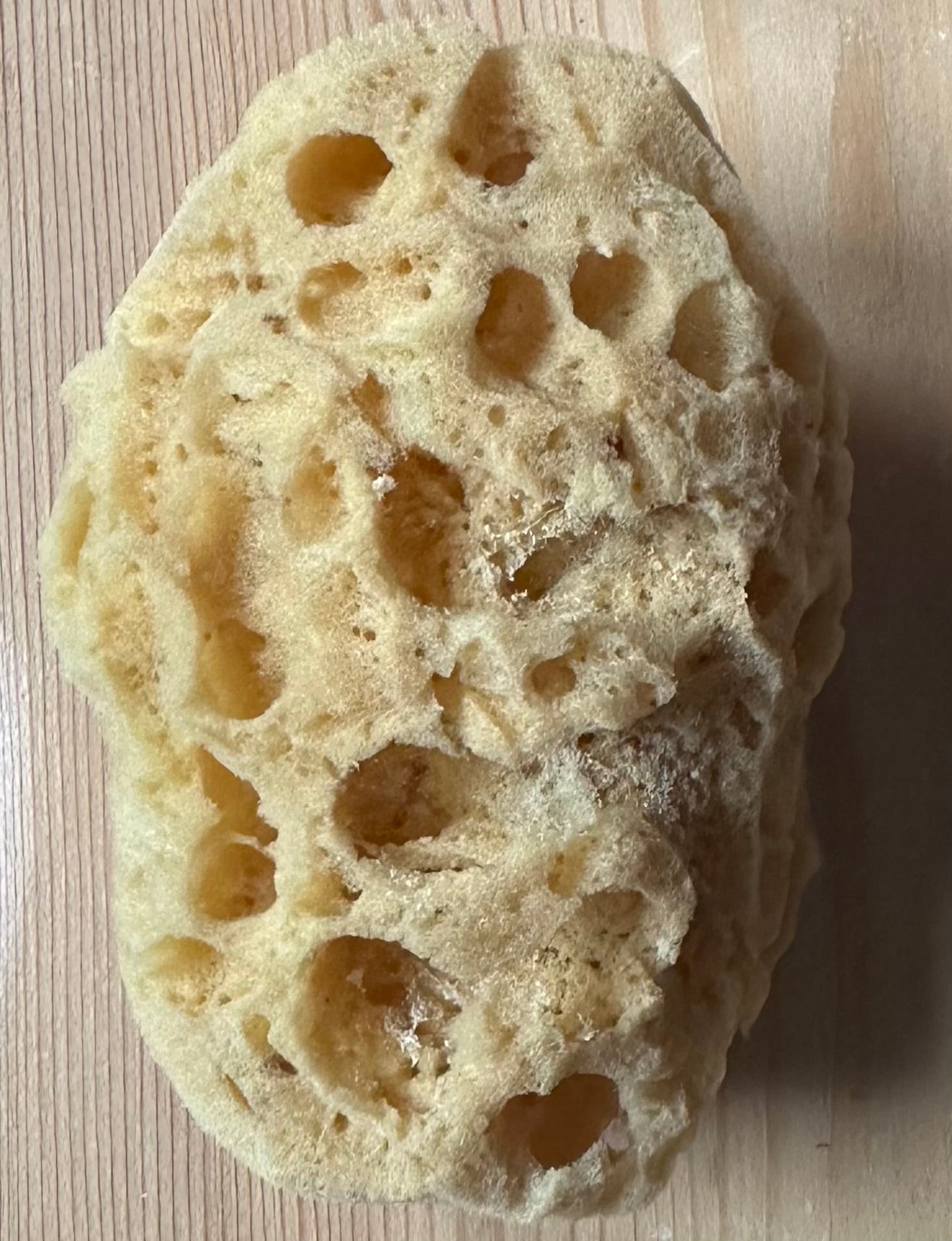 Organic Sea Sponges