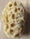 Organic Sea Sponges