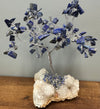 Sodalite