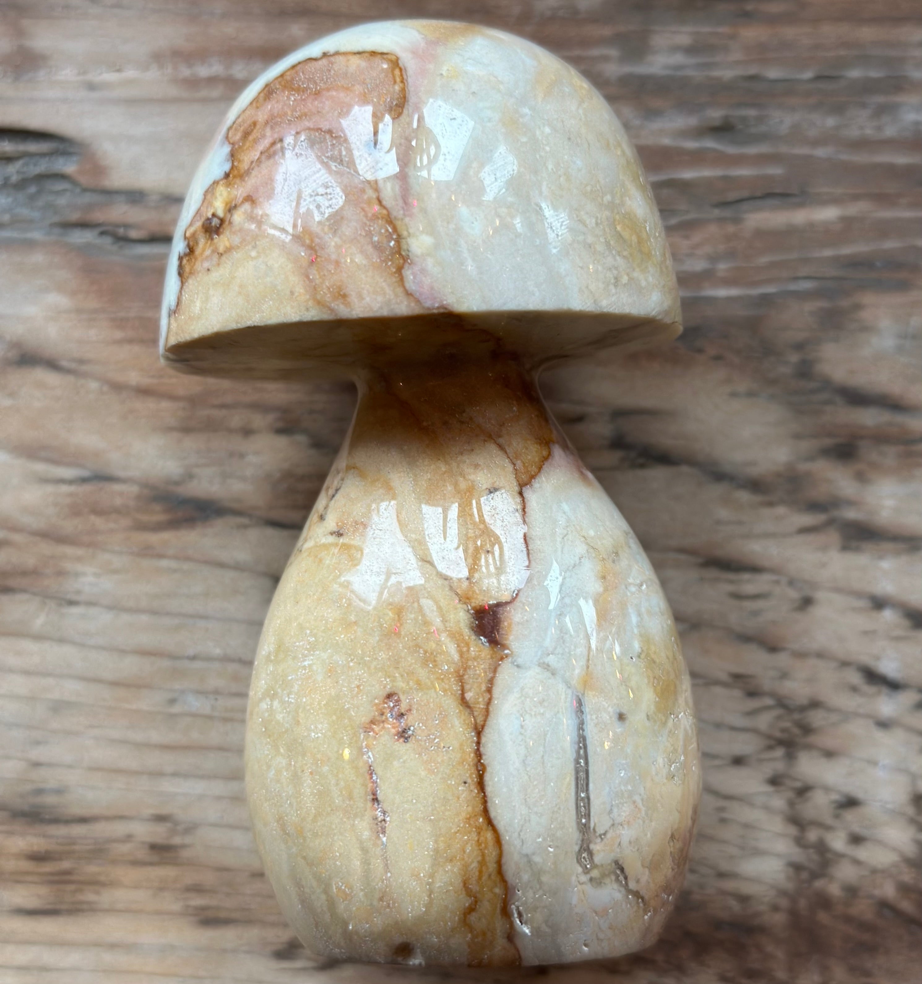 Polychrome Desert Jasper