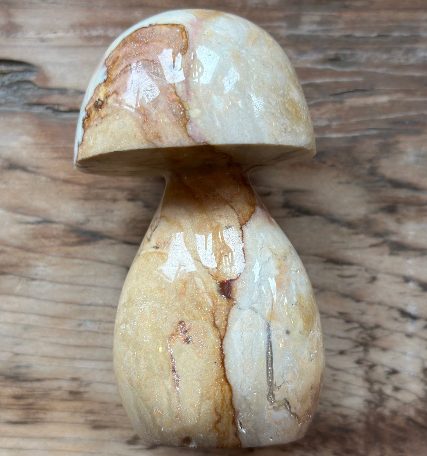 Polychrome Desert Jasper