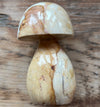 Polychrome Desert Jasper