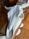 Concrete Statues & Planters