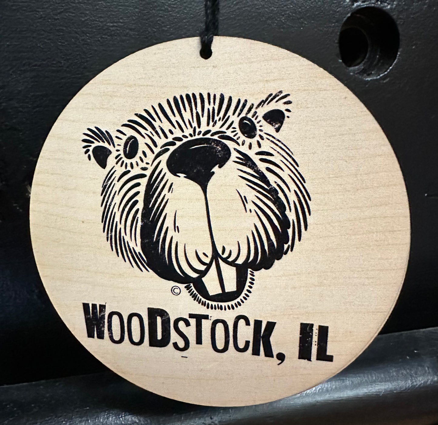Woodstock Groundhog