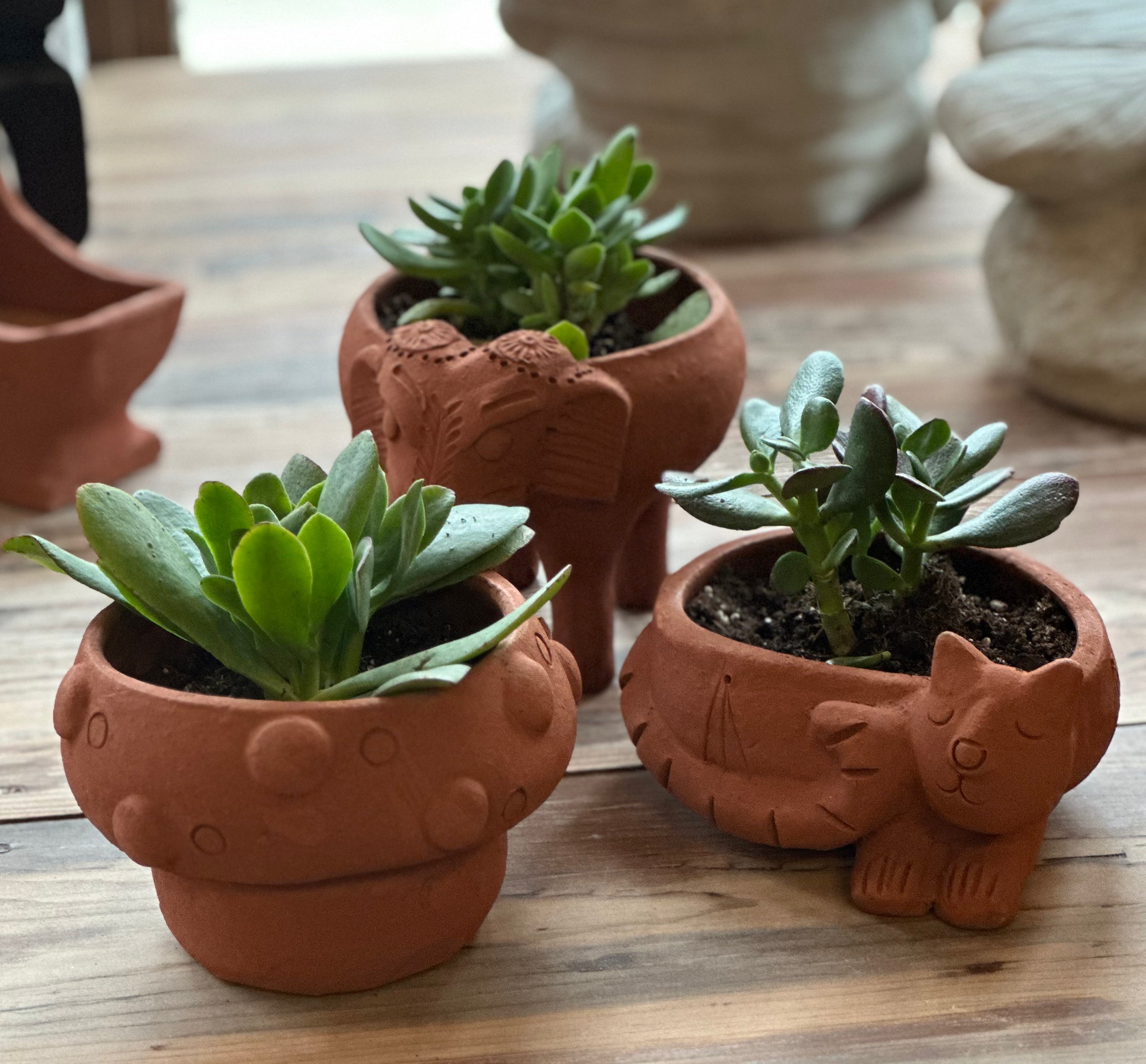 Jardineras de terracota de comercio justo