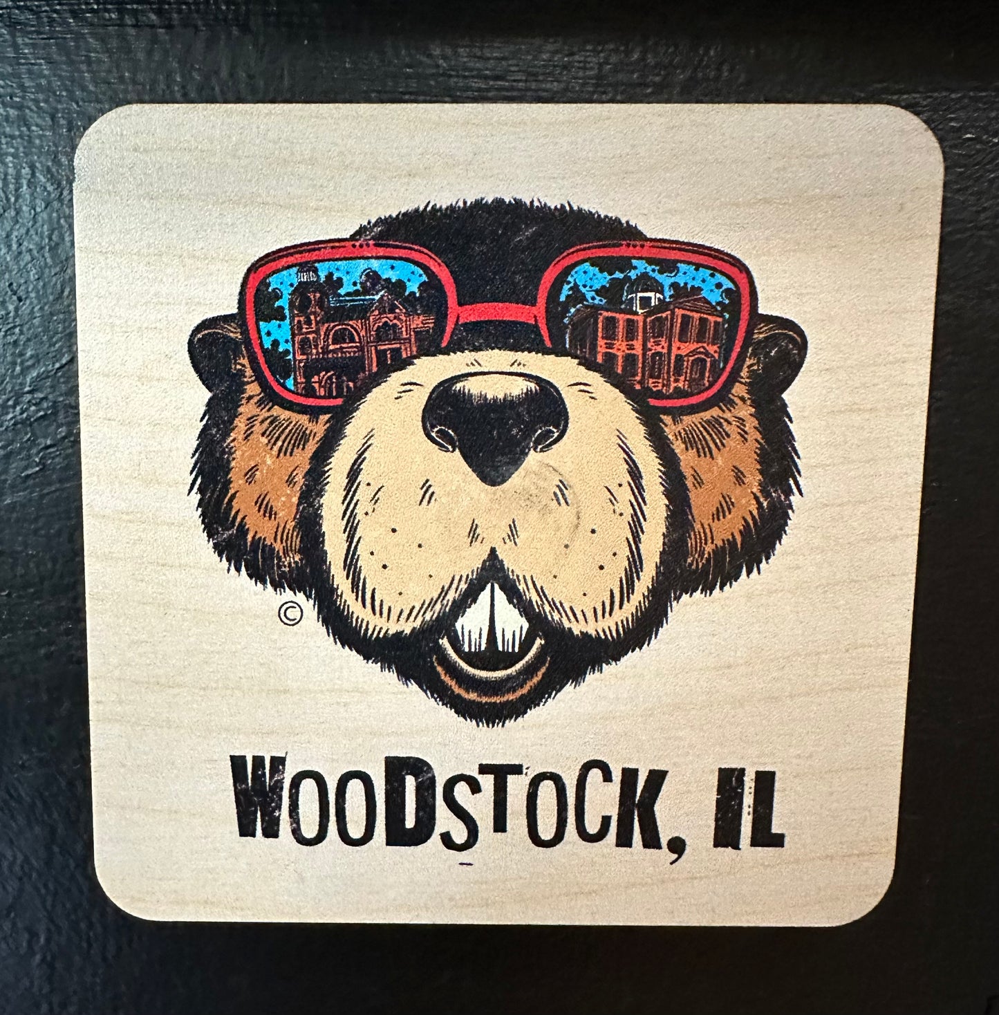 Woodstock Groundhog