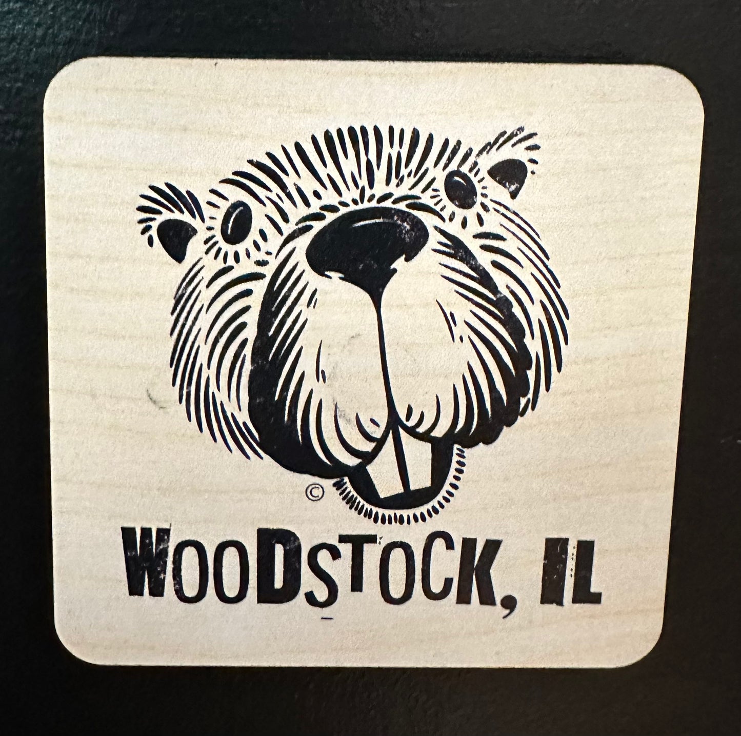 Woodstock Groundhog