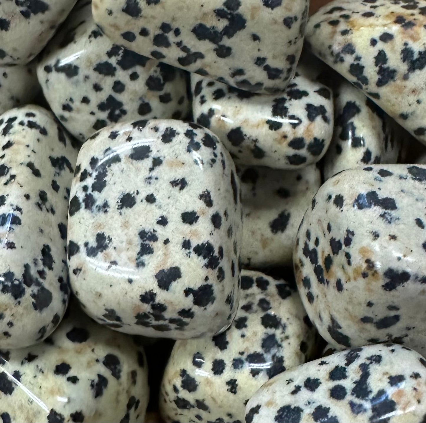 Dalmatian Stone